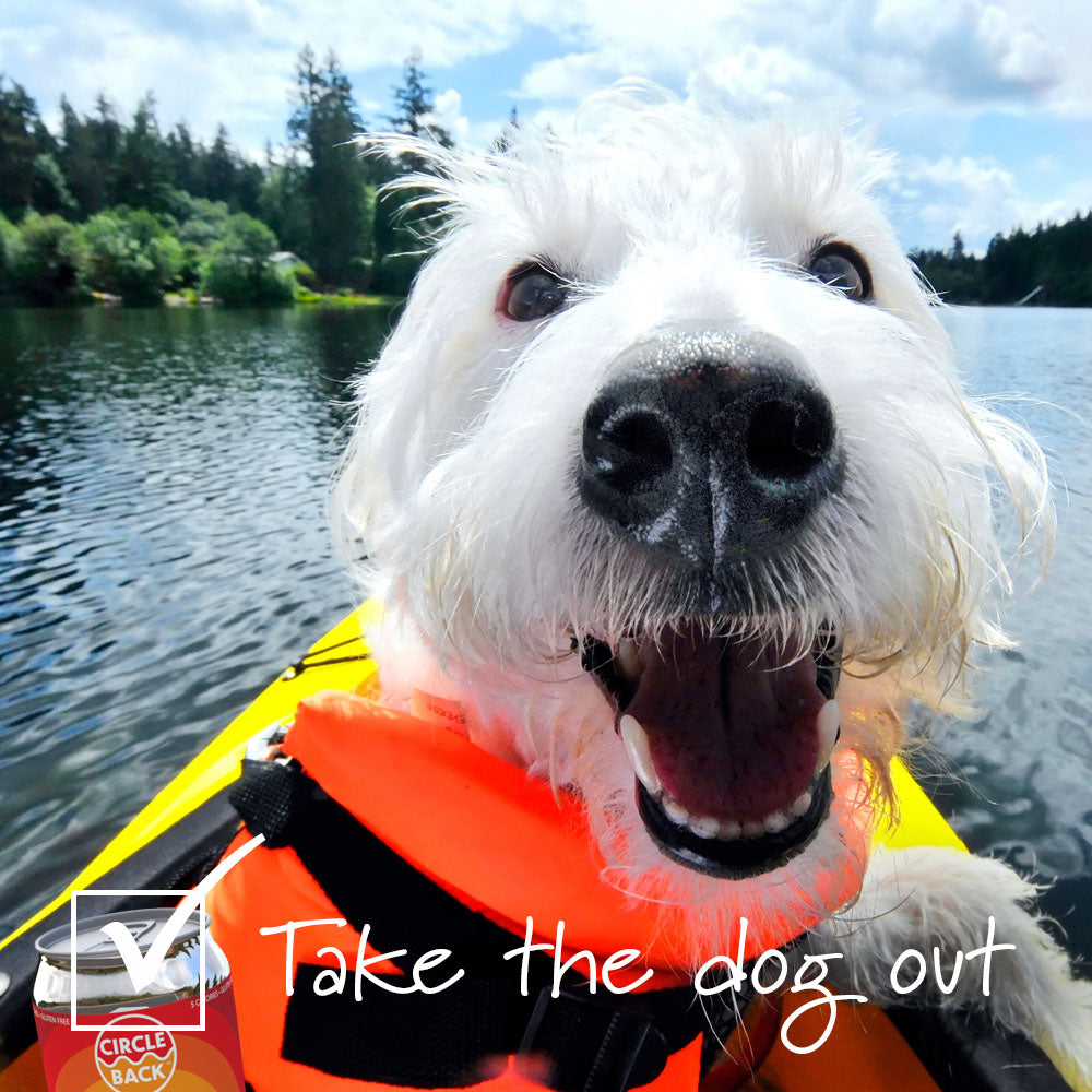 Happy white dog in kayak with Circle Back product