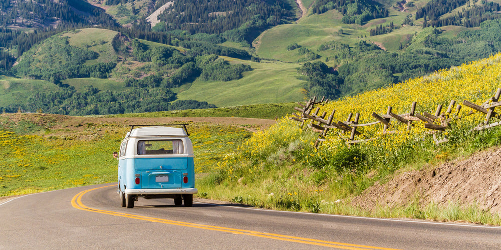VW Wagon driving down a winding road with yellow flowers and vast mountains behind.